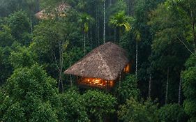 The Woods Resorts Wayanad